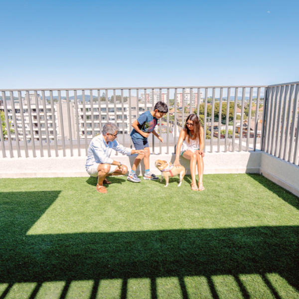 Penthouse iterra