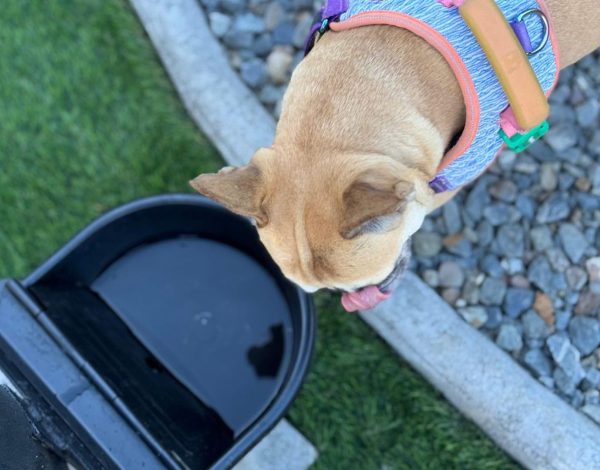 Departamentos en San Pedro de la Paz